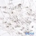 FotoHildeCollier-Product-NWix-10_wlogo.webp
